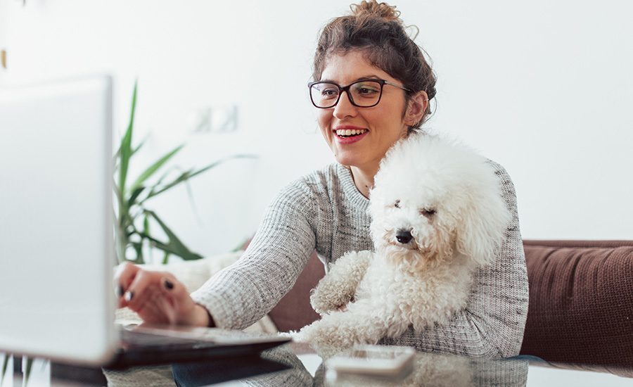 Dicas Trabalhar Em Casa Home Office